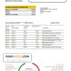 Sri Lanka Bank of Ceylon bank statement easy to fill template in .xls and .pdf file format