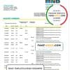 Sri Lanka Hatton National Bank statement template in Excel and PDF format