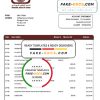 Sudan National Bank of Sudan bank statement template in Word and PDF format
