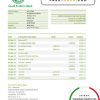 Sudan Saudi Sudanese Bank statement easy to fill template in .xls and .pdf file format