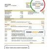 Sweden Swedbank bank statement template in Word and PDF format