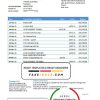 Tajikistan The First MicroFinance (FMFB) Bank statement template in .xls and .pdf file format