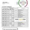 Tanzania Access Bank statement template in Word and PDF format