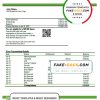 Togo Financial Bank statement template in Word and PDF format