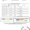 Tunisia Amen Bank statement easy to fill template in Word and PDF format