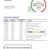 Malawi National Bank of Malawi bank statement template in Word and PDF format