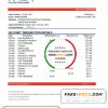 UAE First Abu Dhabi Bank statement easy to fill template in .xls and .pdf file format