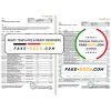 UAE Mashreq bank statement template in Word and PDF format, 3 pages