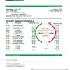 Uganda Bank of Africa bank statement template in .xls and .pdf file format