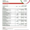 Monaco EFG Bank statement easy to fill template in .xls and .pdf file format Monaco EFG Bank statement easy to fill template in .xls and .pdf file format