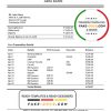 Mongolia Arig Bank proof of address statement template in Word and PDF format