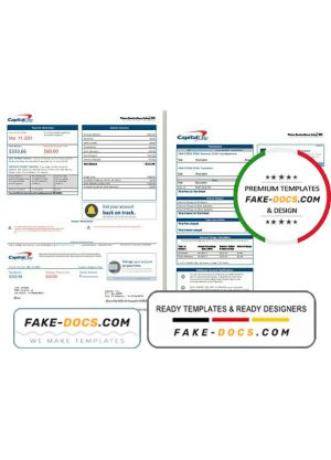 USA Capital One bank statement template in Excel and PDF format (2 pages) version 3