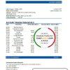 Mongolia Development Bank of Mongolia bank statement template in Word and PDF format