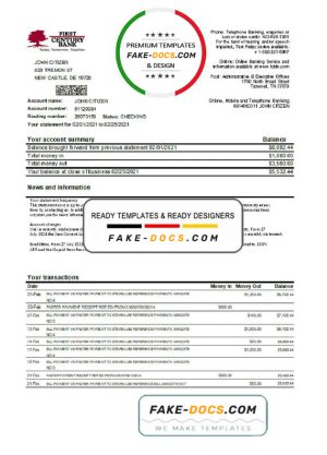 USA First Century Bank statement easy to fill template in Excel and PDF format