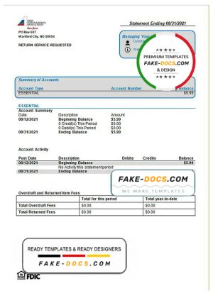 USA First International Bank & Trust bank statement template in Word and PDF format