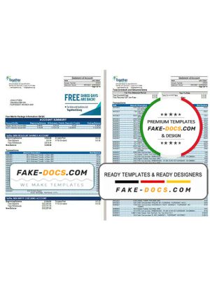 USA Missouri Together Credit Union bank statement template in Word and PDF format (6 pages)