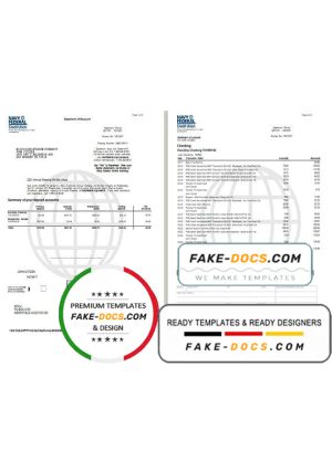 USA Navy Federal Union bank statement template in Word and PDF format (5 pages)