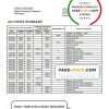 Montenegro Hipotekarna Bank statement template, Word and PDF format (.doc and .pdf)