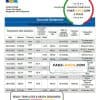 Myanmar Innwa Bank Limited bank statement template in Word and PDF format