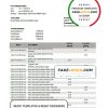 Nepal Nabil bank statement template in Word and PDF format