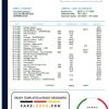 Netherlands NIBC Bank statement easy to fill template in Word and PDF format