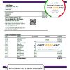 Netherlands SNS bank statement template in Word and PDF format