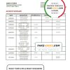 Nigeria Zenith bank statement template in Word and PDF format