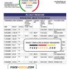 Pakistan Faysal bank statement template in Word and PDF format