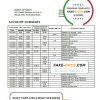 North Macedonia Stater bank statement template, Word and PDF format (.doc and .pdf)
