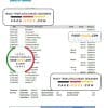 Samoa Bank of Hawaii bank statement, Excel and PDF template
