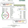 Saudi Arabia SNB bank statement, Excel and PDF template