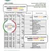 South Sudan Ivory Bank statement, Excel and PDF template