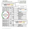 Sudan Al Neelen Bank statement, Excel and PDF template