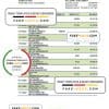 Palau Bank of Guam Bank statement Excel and PDF template