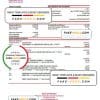 Palestine Bank of Palestine bank statement Excel and PDF template