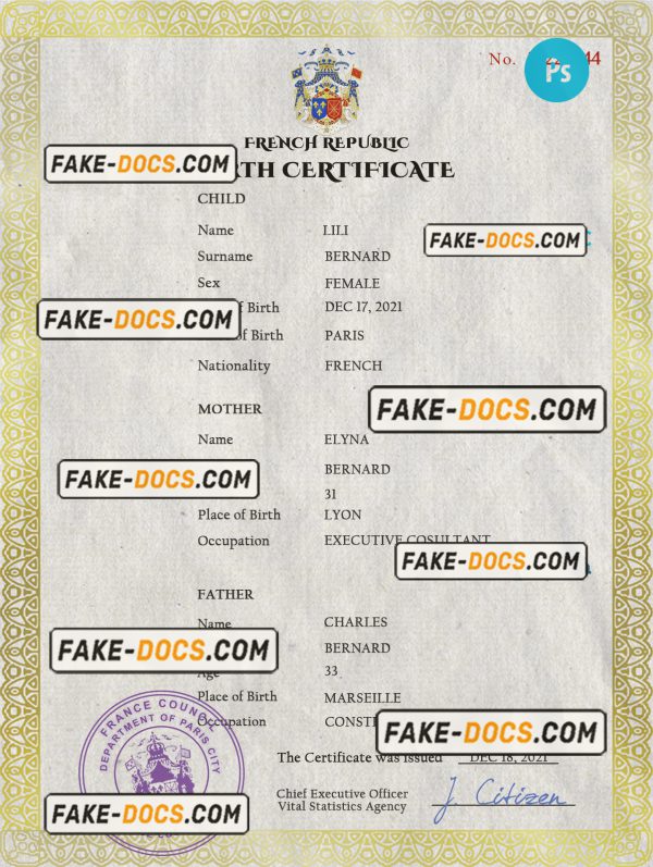 France vital record birth certificate PSD template, completely editable scan