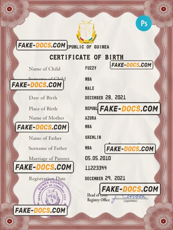 Guinea vital record birth certificate PSD template, completely editable scan