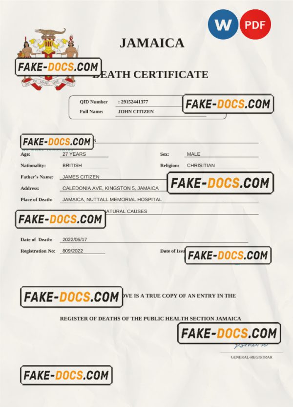 Jamaica vital record death certificate Word and PDF template scan
