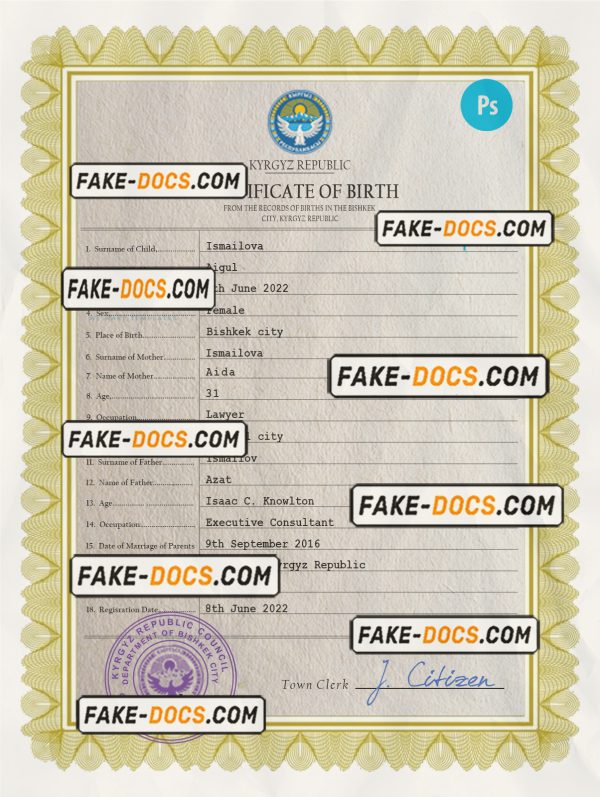 Kyrgyzstan vital record birth certificate PSD template scan