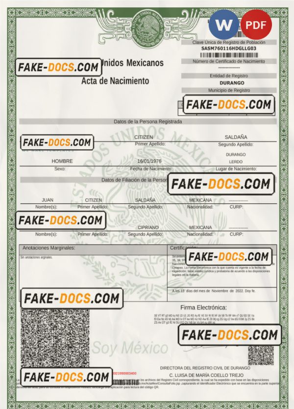 Mexico birth certificate Word and PDF template, version 2 scan