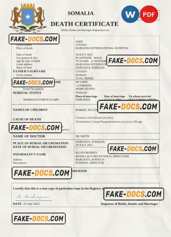 Somalia vital record death certificate Word and PDF template scan
