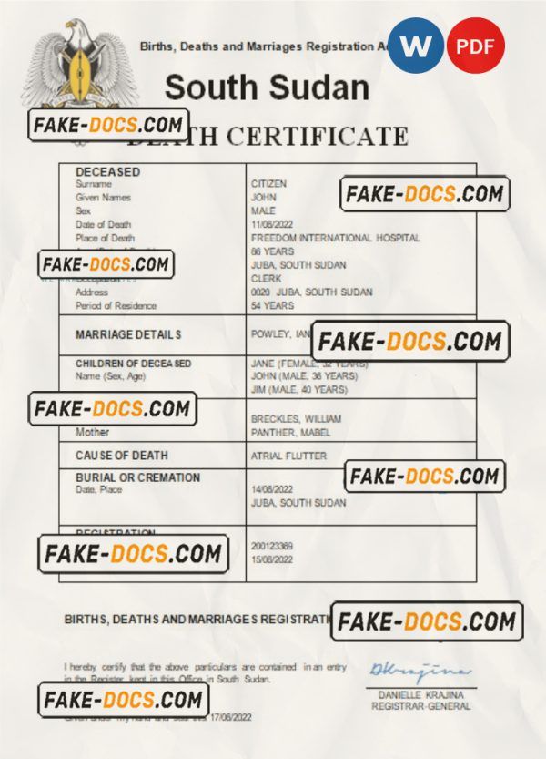 South Sudan vital record death certificate Word and PDF template scan