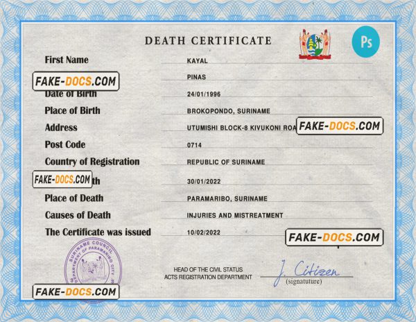 Suriname vital record death certificate PSD template, completely editable scan