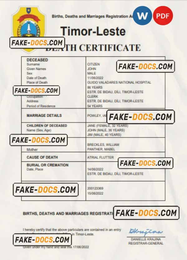 Timor-Leste vital record death certificate Word and PDF template scan