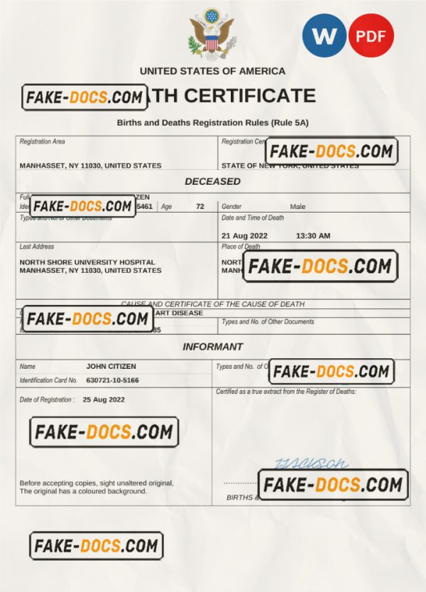USA vital record death certificate Word and PDF template scan
