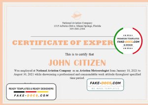 USA Company Experience Certificate template in Word and PDF format USA Company Experience Certificate template in Word and PDF format