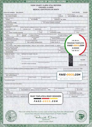 USA Illinois state death certificate template in PSD format, fully editable