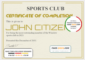 USA Recognition certificate template in Word and PDF format, version 3 USA Recognition certificate template in Word and PDF format, version 3