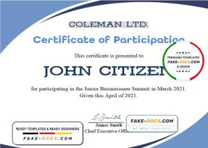 USA Program Participation certificate template in Word and PDF format USA Program Participation certificate template in Word and PDF format