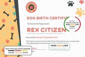 USA Dog Birth certificate template in Word and PDF format USA Dog Birth certificate template in Word and PDF format
